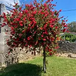Wonderfull House In O Rosal With Optical Fiber, Casa