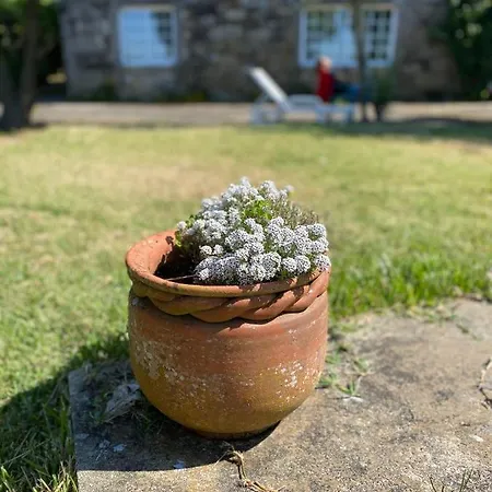 Wonderfull House In O Rosal With Optical Fiber, Casa Сasa de vacaciones *