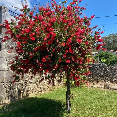 Wonderfull House In O Rosal With Optical Fiber, Casa